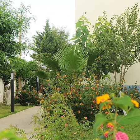 Aral Hotel Side