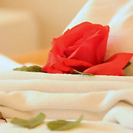 Aral Hotel Side Отель 3*